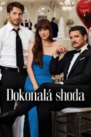 Dokonalá shoda