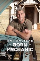 Ant Anstead: Born Mechanic