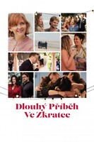 Dlouhý příběh ve zkratce