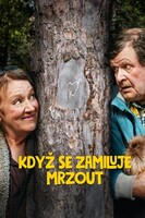 Když se zamiluje mrzout