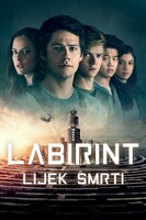 Labyrint: Vražedná léčba