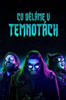 Co děláme v temnotách| VI (11)