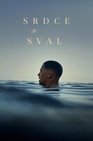 Srdce je sval