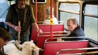 Poslední autobus