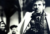 Rysavá jalovica