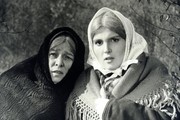 Zlodarov les