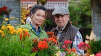 Rosamunde Pilcher: Kimkolwiek jesteś