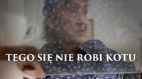 Tego się nie robi kotu
