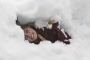 Ledová zkáza