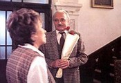 Jedna kočka za druhou