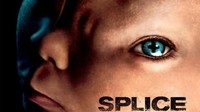 Spletenec