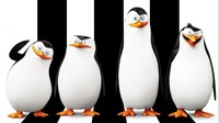 Tučňáci z Madagaskaru