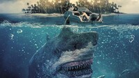 Toxic Shark