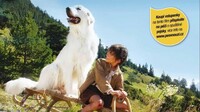 Bella a Sebastian: Dobrodružství pokračuje