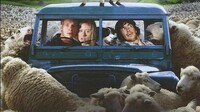 Black Sheep