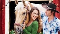 Rodeo a Julie