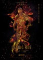Raging Fire