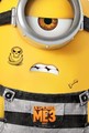 Gru, Dru i minionki