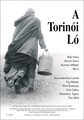 Torinski konj