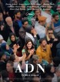 DNK