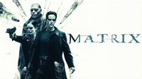 Matrycja