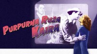 Purpurna ruža Kaira