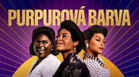 Purpurová barva