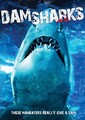 Dam Sharks