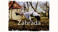 Záhrada