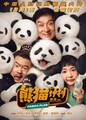 Operace Panda