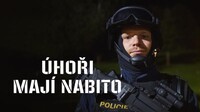 Úhoři mají nabito