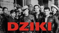 Dziki