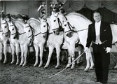 Cirkus bude!