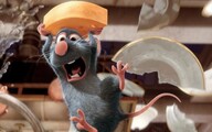 Ratatuj