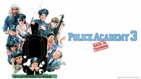 Policejska akademija 3: Znovu do navčannja